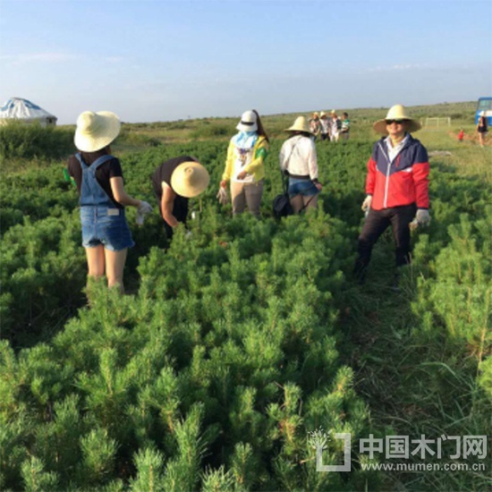 百德木門綠化