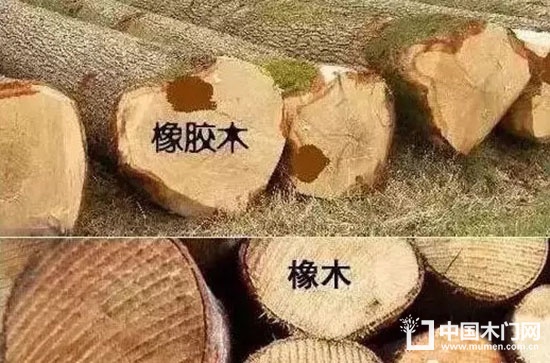 橡木門和橡膠木門