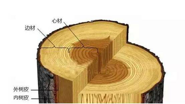 川田木門：實(shí)木的色差其實(shí)是大自然的饋贈(zèng)！