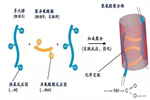 華潤(rùn)家具漆：解開(kāi)PU漆干燥成膜奧秘，喜提至尊美顏效果