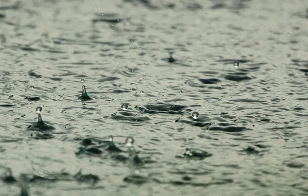 兔寶寶木門：梅雨季節(jié)，木門的養(yǎng)護(hù)性預(yù)防方法