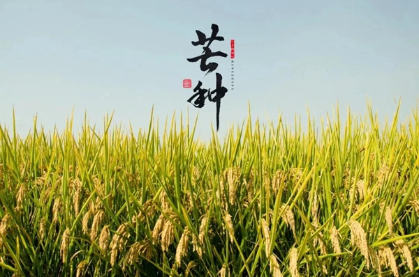 鑫迪木門：為愛(ài)奔芒，辛勞耕種！