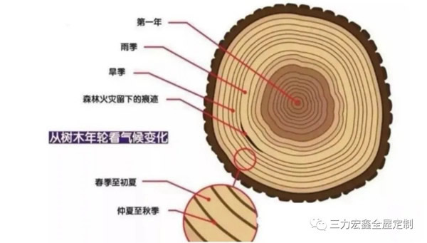 三力宏鑫：烹飪一棵原木