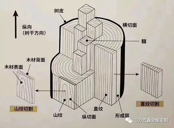 三力宏鑫：烹飪一棵原木