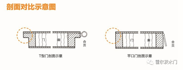 解讀霍爾茨T型門的優(yōu)勢