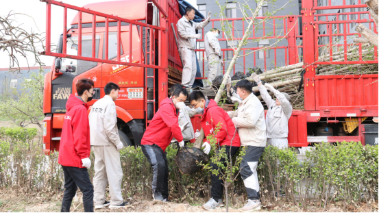 霍爾茨木門綠色植樹活動圓滿結(jié)束