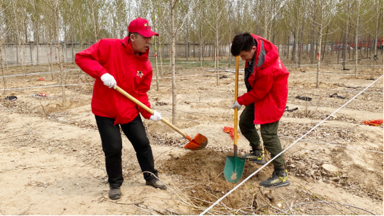 霍爾茨木門綠色植樹活動圓滿結(jié)束