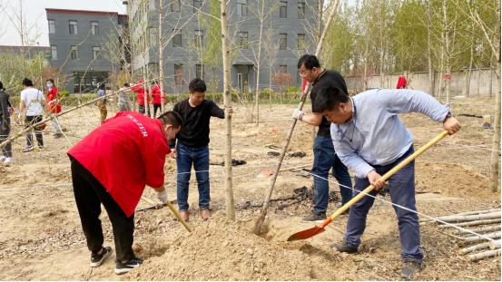 霍爾茨木門綠色植樹活動圓滿結(jié)束