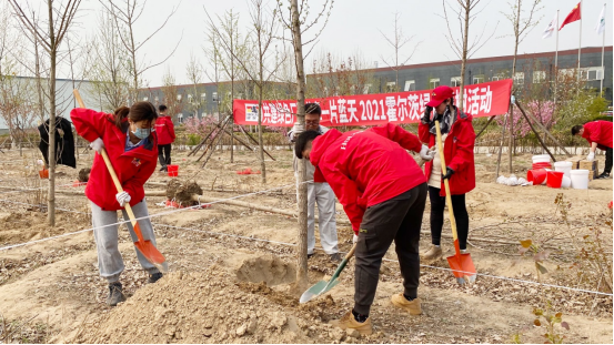 霍爾茨木門綠色植樹活動圓滿結(jié)束