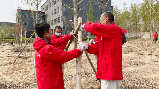 霍爾茨木門綠色植樹活動圓滿結(jié)束