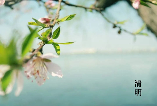 蔓茲堡天然系木門(mén) | 清明時(shí)節(jié)祭親友，致敬緬懷再前行