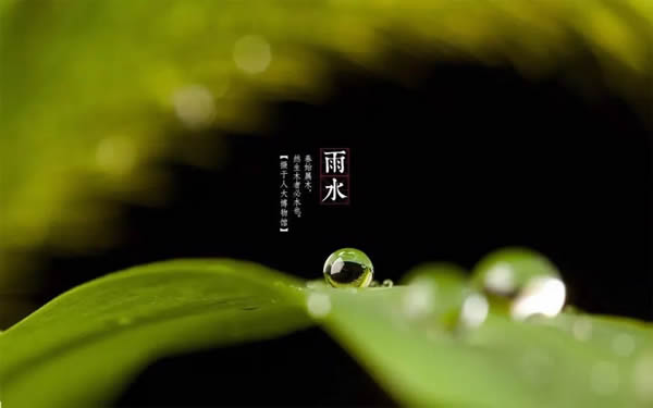 科派木門·今日雨水 | 好雨知時節(jié)，當(dāng)春乃發(fā)生